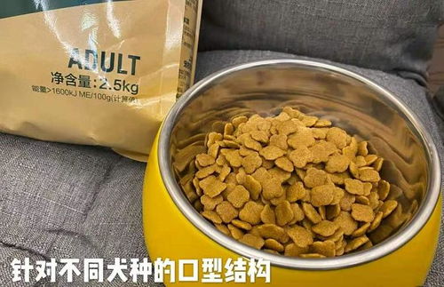 耐威克狗糧 鎖定挑剔胃口，為愛寵開啟“好吃不貴”的私享時光